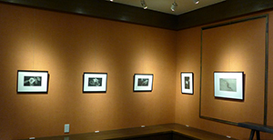 八島正明画伯の油彩画 Yahoo!オークション - 【真作】八島正明『倉庫のある風景』4号