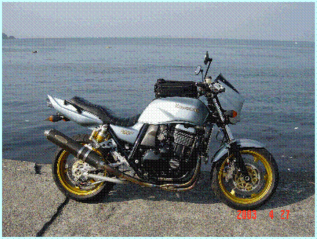 ZRX1100