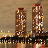 シンカイマユミ