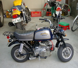 gorira020303-000211.JPG