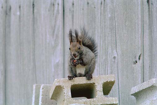 �悢����E�E�E�@�����A���������܂��I