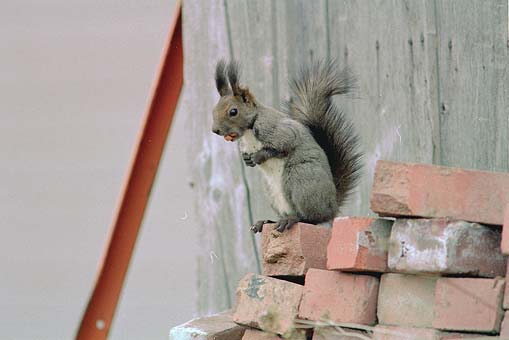 �H������V�ł�