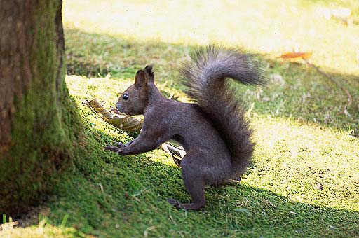 �悢����I�@�悢����I