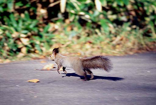 �����s���Ȃ�����