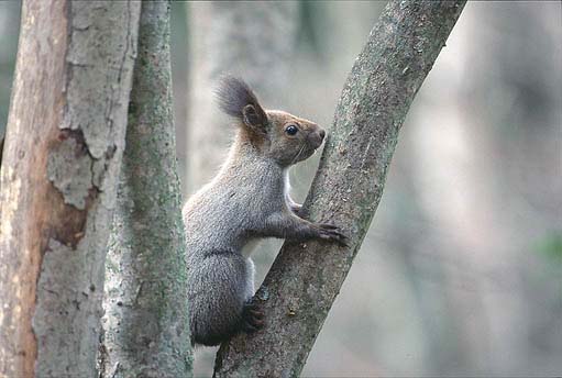 �؉A����A�b�v�ł�