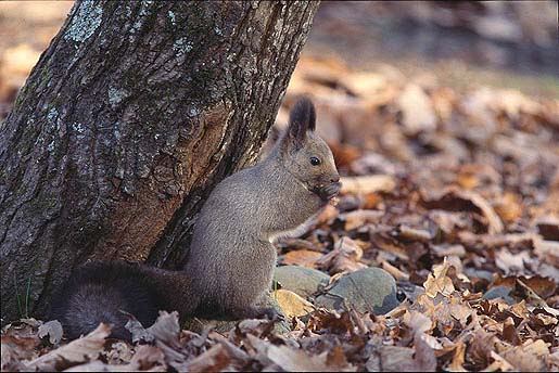 ���������E�E�E