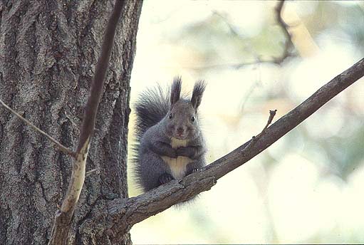 �������������I�@���������ς��I