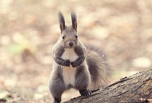 ���`��B�u����������B�c�O�B