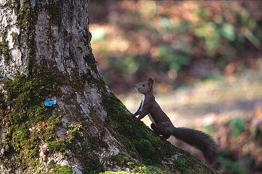 ���l���Ă񂾂�H