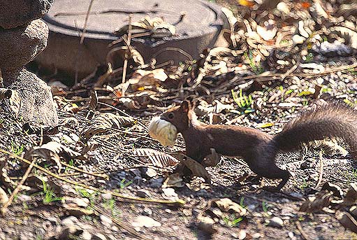 �}���I�}���I