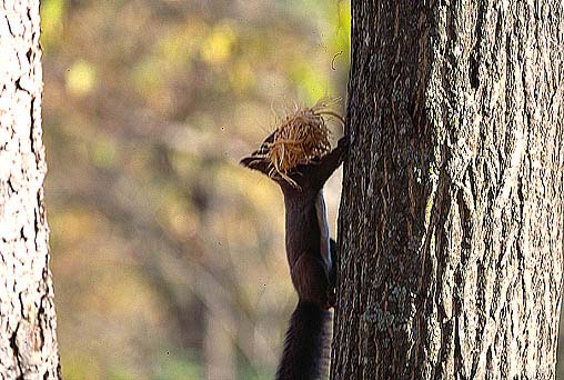 �؋��őO�������Ȃ��`�I�@�L�B�`�I