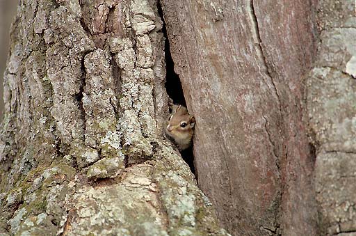 �������v���ȁH