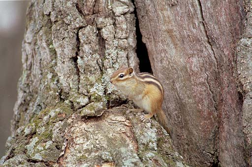 �����邨����E�E�E