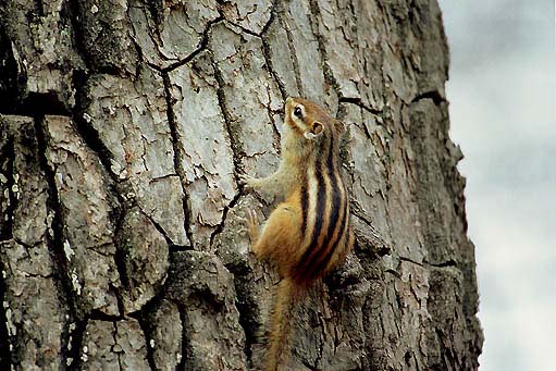 �G�]�V�}���X