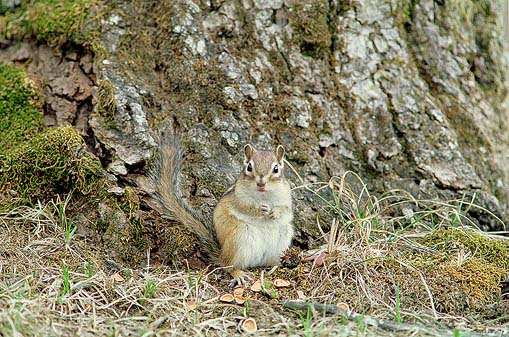 ����ɂ���