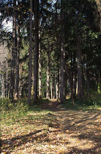 ���{�їV����