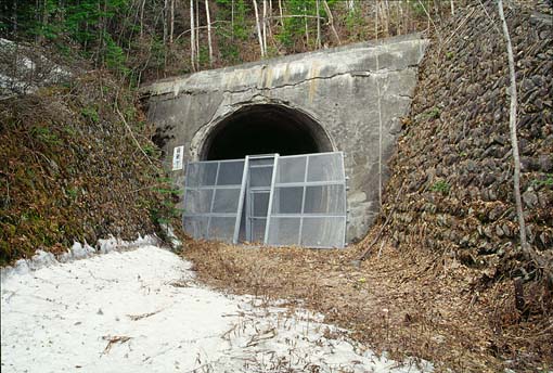 �g���l��