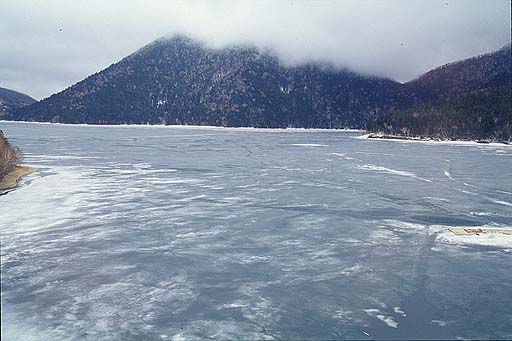 ��������R�ʌ�