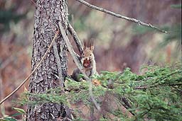 �N���b�N����Ɗg��ʐ^ ��44K