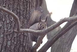 �N���b�N����Ɗg��ʐ^ ��44K