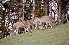 �N���b�N����Ɗg��ʐ^ ��79K