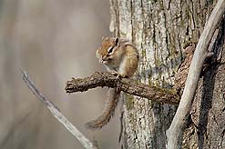 クリックすると拡大写真 約48K