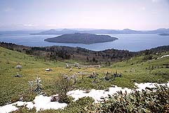 �N���b�N����Ɗg��ʐ^ ��61K