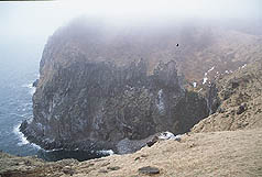 �N���b�N����Ɗg��ʐ^ ��39K