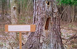 �N���b�N����Ɗg��ʐ^ ��67K