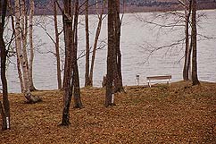 �N���b�N����Ɗg��ʐ^ ��90K