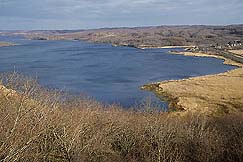 �N���b�N����Ɗg��ʐ^ ��52K