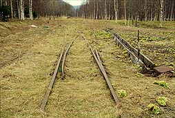 �N���b�N����Ɗg��ʐ^ ��62K