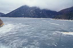 �N���b�N����Ɗg��ʐ^ ��36K