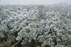 �N���b�N����Ɗg��ʐ^ ��78K