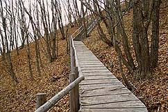 �N���b�N����Ɗg��ʐ^ ��88K