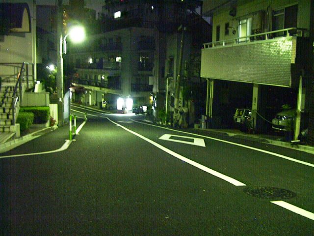 YAKEI_1.JPG