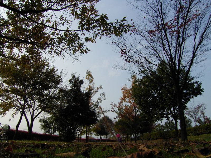 RIMG04.JPG - 155,464BYTES