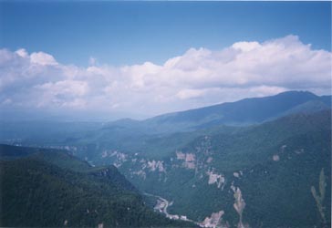 ���E���L���B