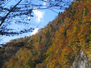 ���x���������ǁA�����̂ق����Y��ł�(^^;