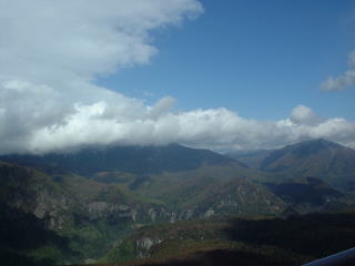 �ق̂��ɐF�Â�