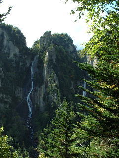 ���C�ɓ���̑o�e��I�I