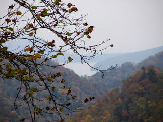 �x┌΂��B�낤�Ƃ�����؂��ז�������(^^;