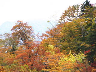 ����Ȋ����̍g�t��(^-^)