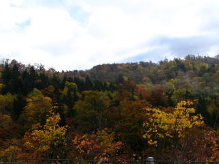 �����������Ȃ��E�E�E�B�����Ƃ��ꂢ�������͂��Ȃ񂾂���(^^;