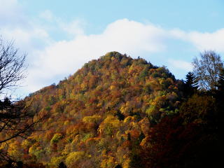 �ނ����A���w�Z�̂Ƃ��ɋ��܂���ł����H���̒��Ƀp������ꂽ�܂܂ɂ��āA����ȐF�Ƃ�ǂ�ɂ��Ă��܂����z�B