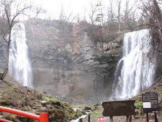 �������킹�ĂȂ̂��A�E�������Ȃ̂��E�E�E�E(^^;