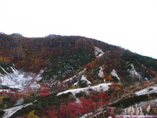 ��̔����g�t�ɉ����Ƃ���Ȋ������Ȃ��B����͓y��������(^^;