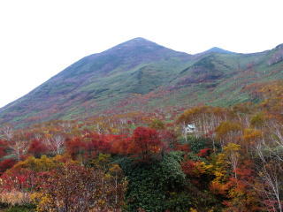 �����������Ƃ��͂����Ƃ����������̂ɁA�Ȃ��ʐ^�ɂ���Ƃ���ڂ��񂾂낤(T-T)