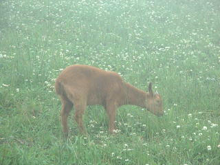 ���������B