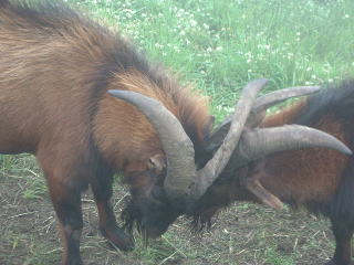 �̂������̂������I